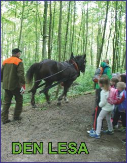 LESY MĚSTA KLATOV, s.r.o.