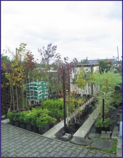 ZAHRADNICTVÍ  Dana PAPOUŠKOVÁ