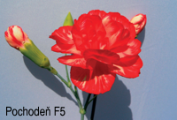 Karafiát Pochodeň F5